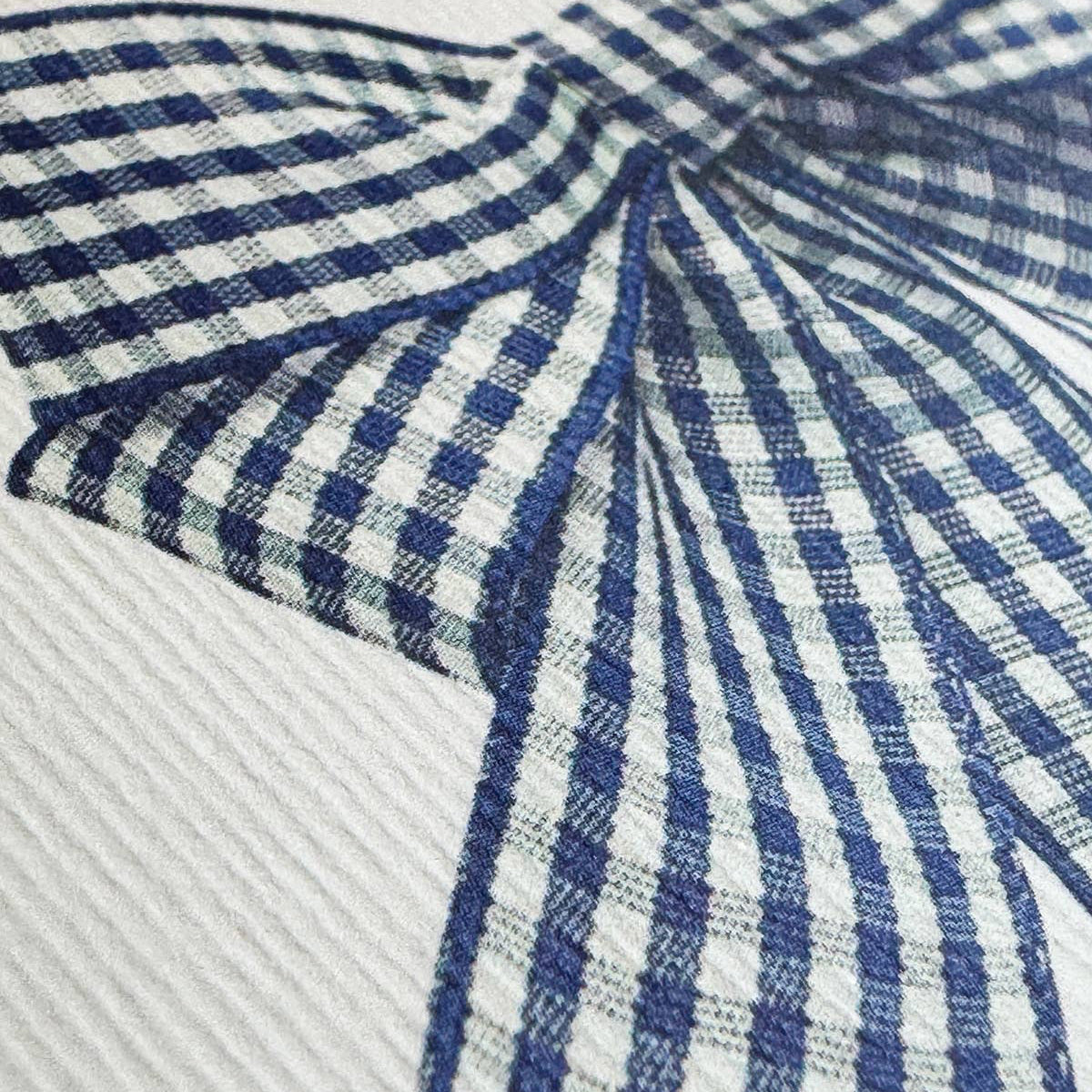 Double Tail Blue Gingham Bow Greeting Card