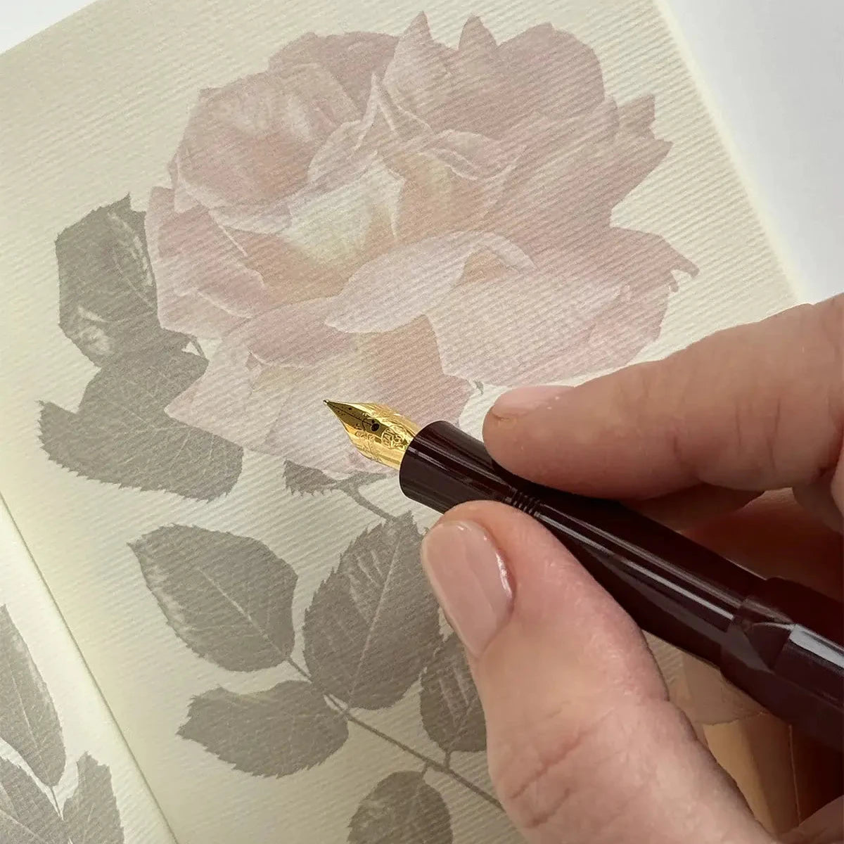 Garden Roses Notebook Set