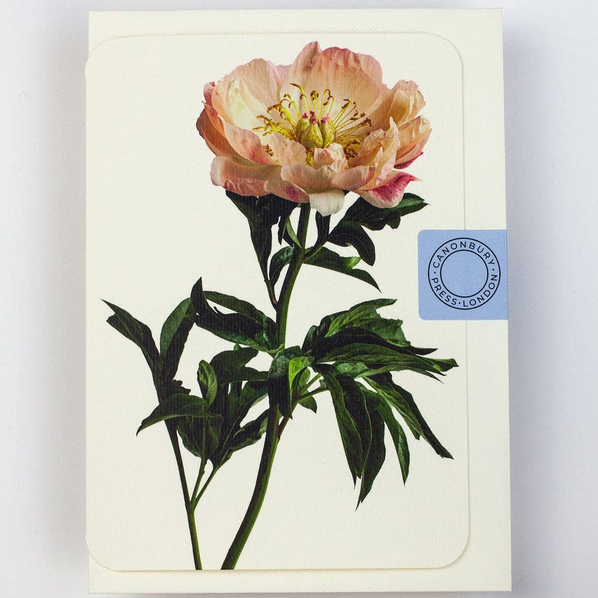 Peony Notecard