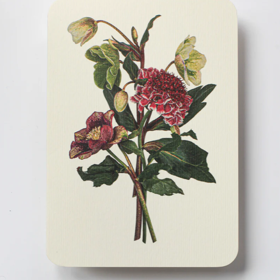 Posy of Hellebore & Scabiosa I Greeting Card