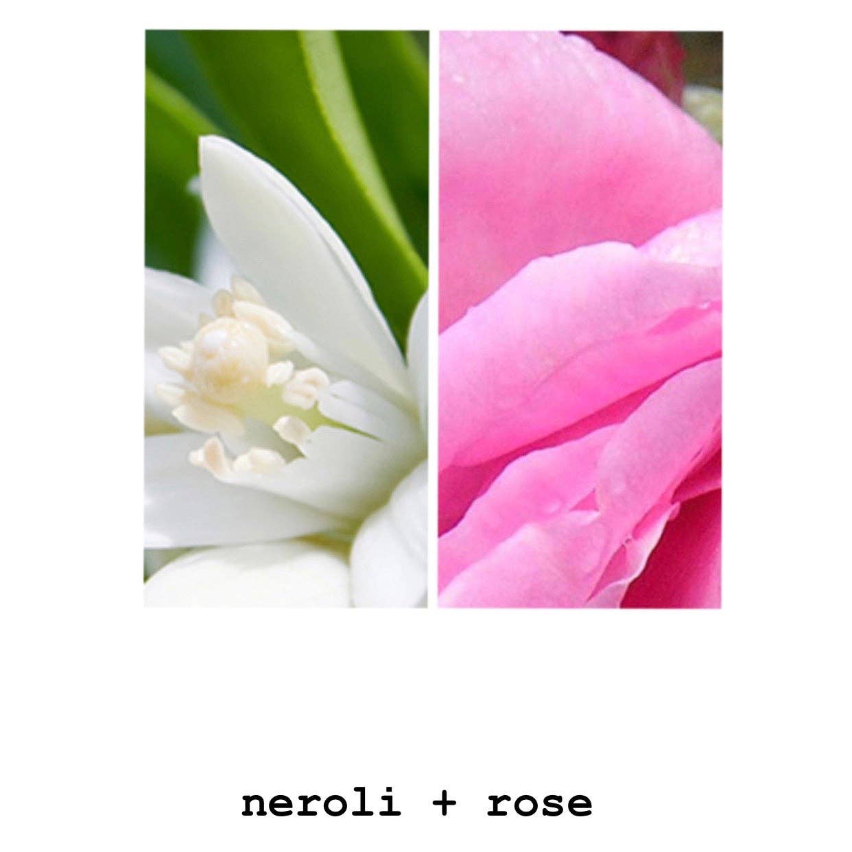 Hand + Body Wash - Neroli + Rose | MODM