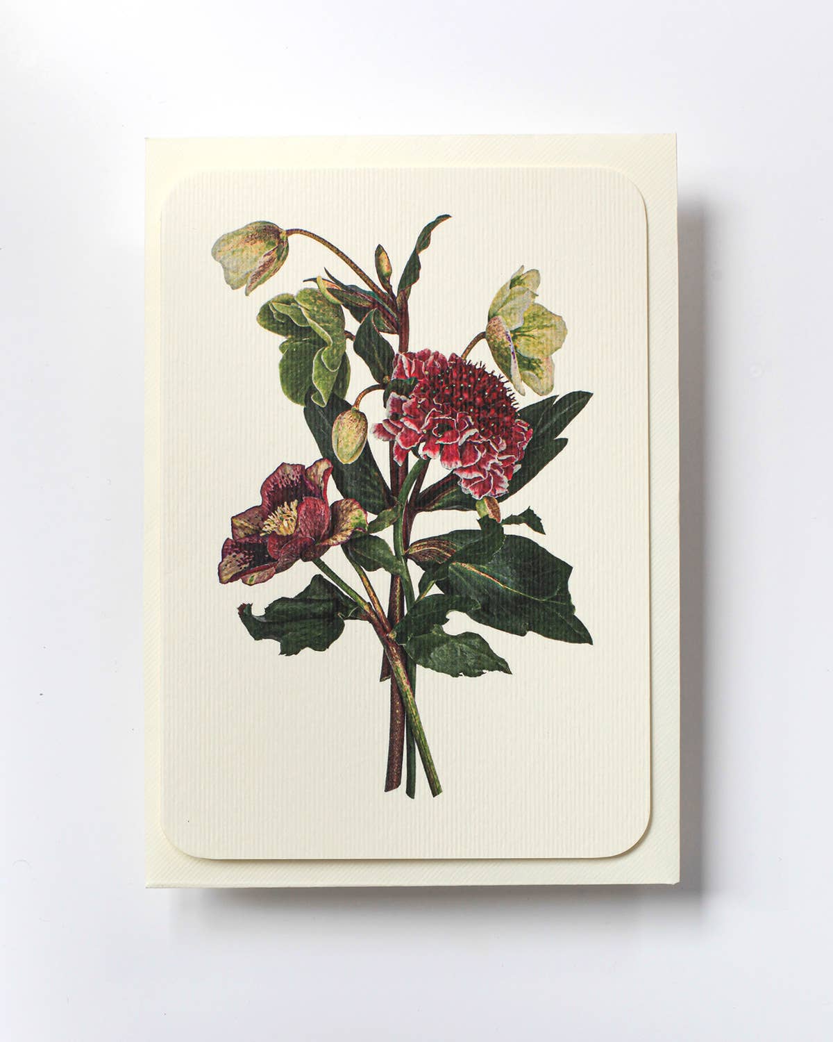 Posy of Hellebore & Scabiosa Greeting card