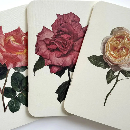 Garden Roses Set of 3 Notebooks