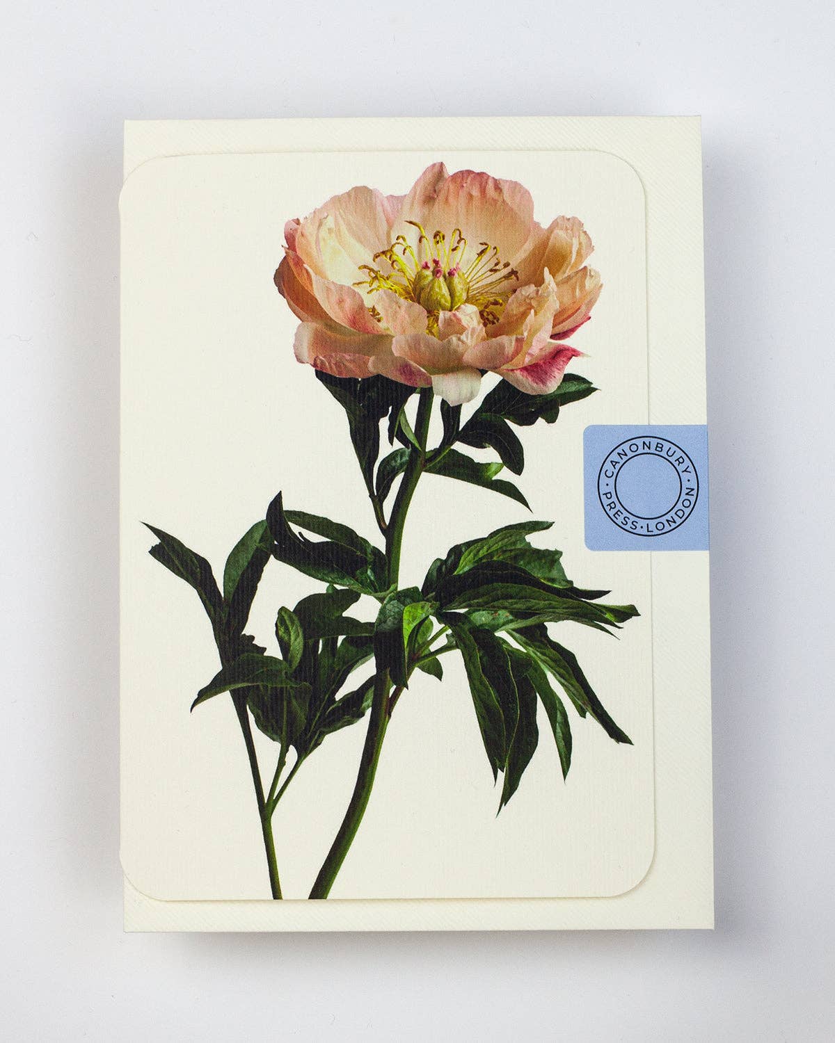 Peony Notecard