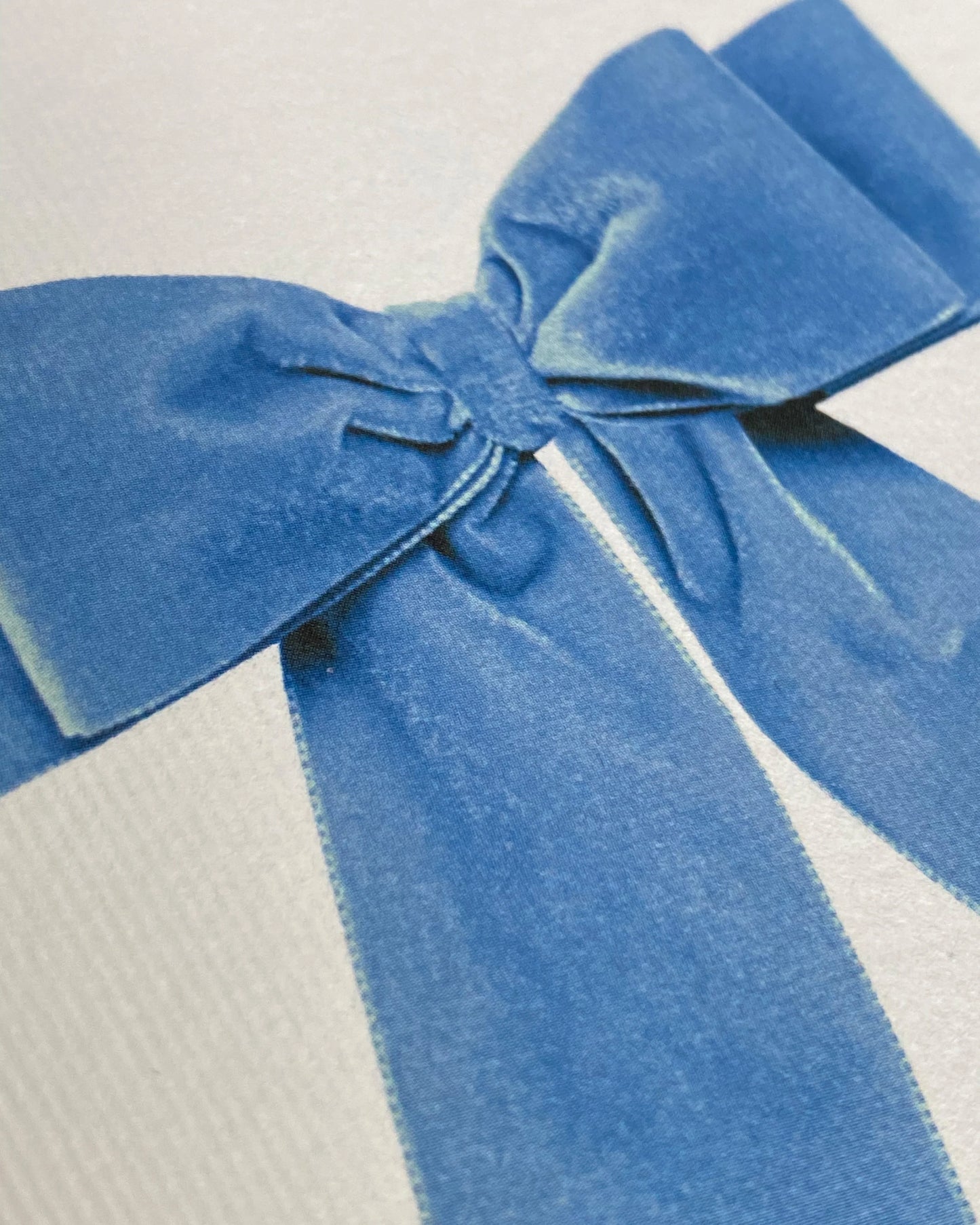 Blue Velvet Bow Greeting Card