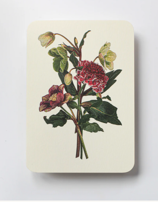 Posy of Hellebore & Scabiosa I Greeting Card