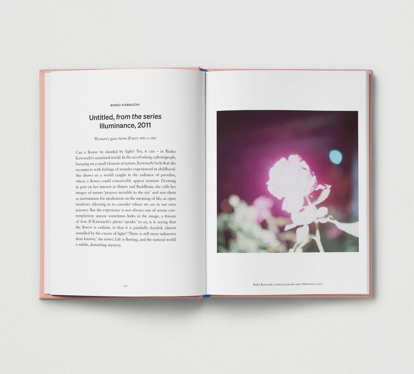 An Opinionated Guide to Photography