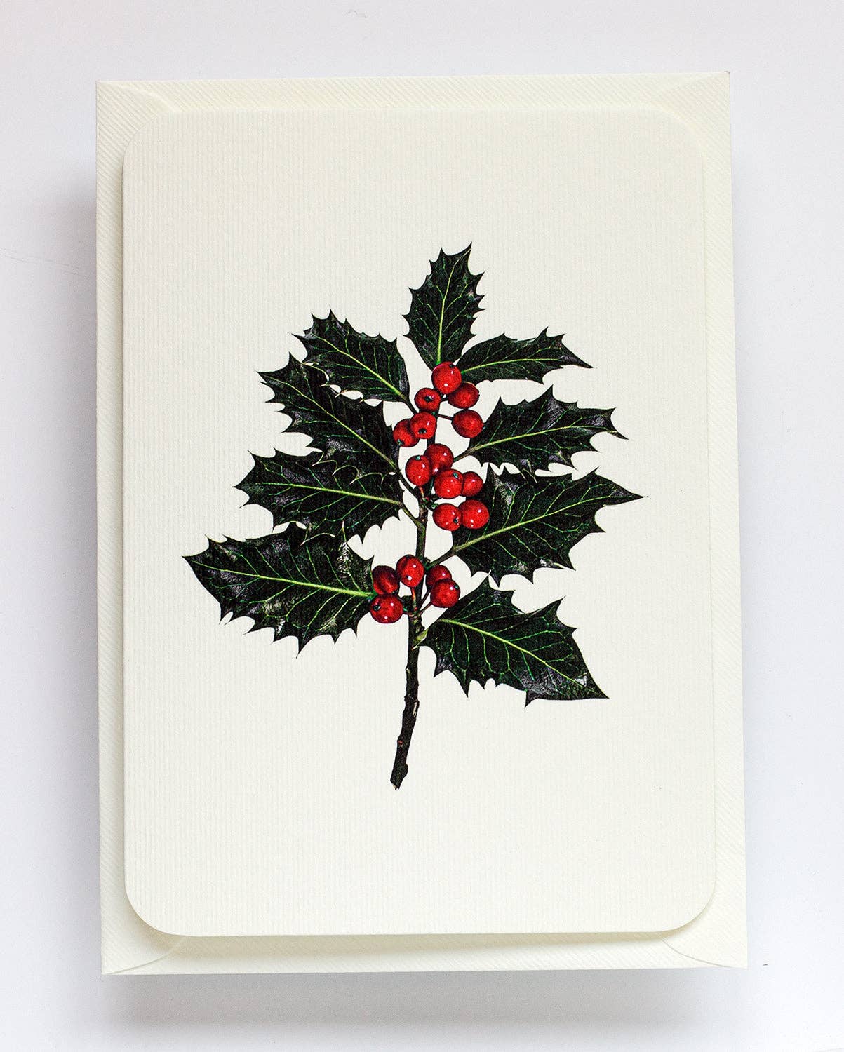 Christmas Holly: Set of 6 Notecards