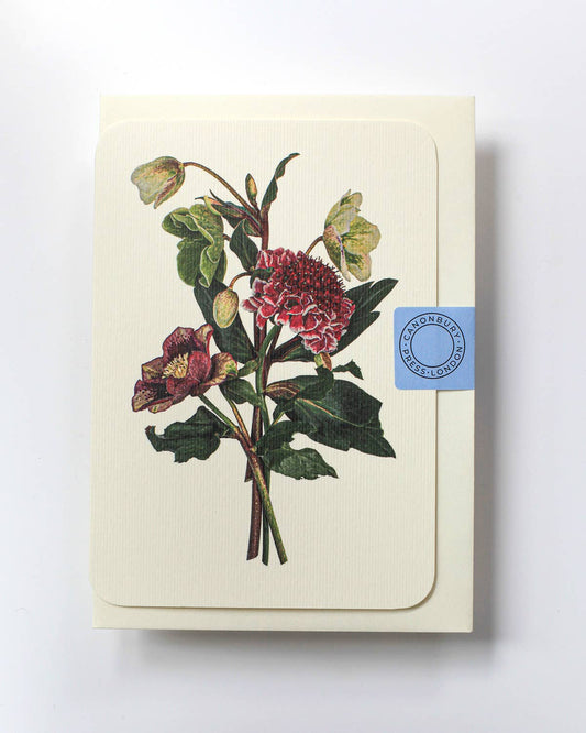 Posy of Hellebore & Scabiosa Greeting card