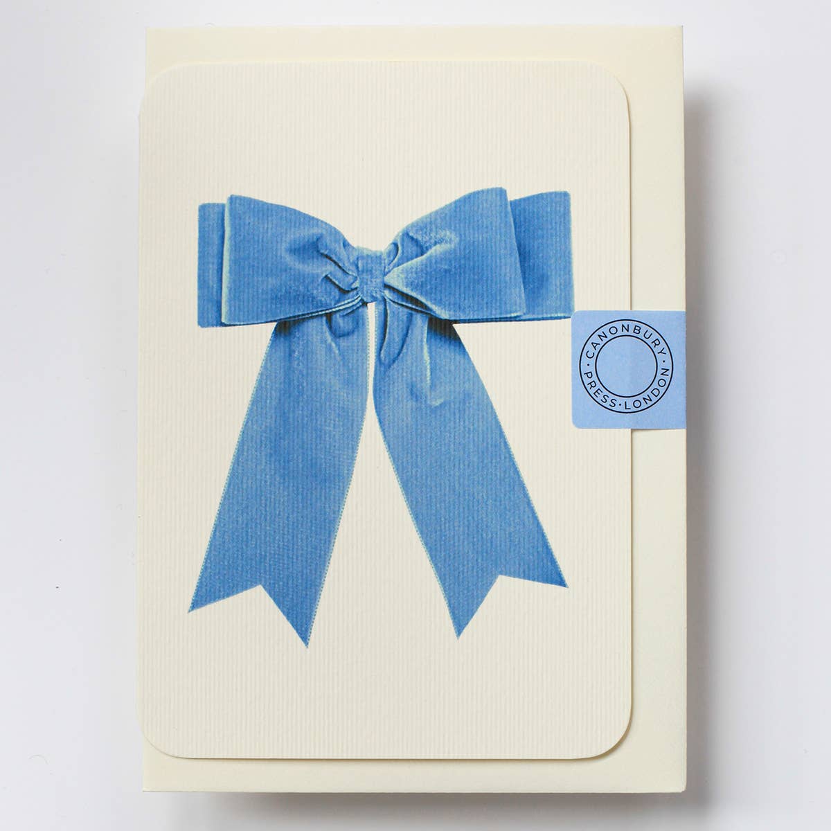 Baby Blue Velvet Notecard