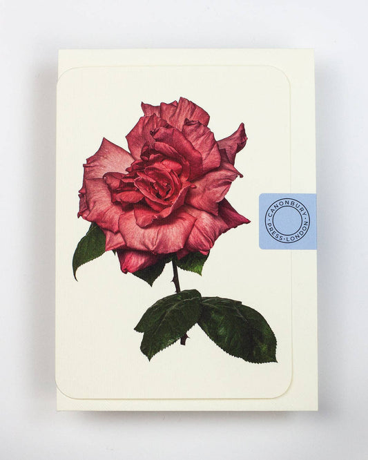 Garden Rose Notecard